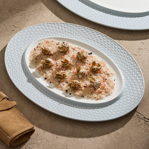 速发优格陶瓷鱼盘蒸鱼盘子家用菜盘店级感酒高餐具商旦甜品点心用