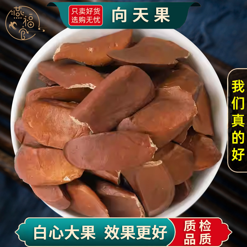 正宗所罗门向天果野生特级正品进口官方旗舰店纯天然的功效泡茶水