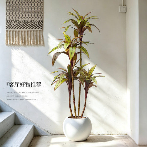 高端轻奢朱蕉仿真落地盆栽
