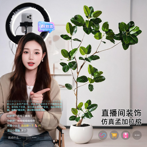 直播间孟加拉榕仿真树装饰摆件