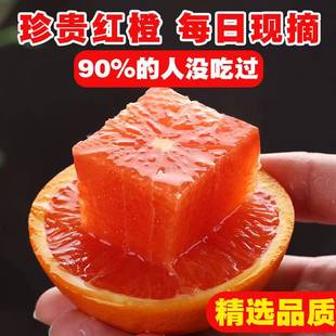 血橙中华红橙新鲜当季水果伦晚果园直发整箱秭归纯甜多汁现摘现发