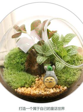 苔藓微景观创意礼品摆件苔斜包口瓶套装料L-201808材绿植办藓公室