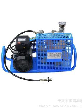 便携式高压-潜水消RZX-100防呼吸瓶空气填充泵打气机0230M气pa