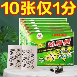 苍蝇贴灭蝇子神器一扫光家用强力粘苍蝇纸粘蝇板药沾蚊杀手捕捉器