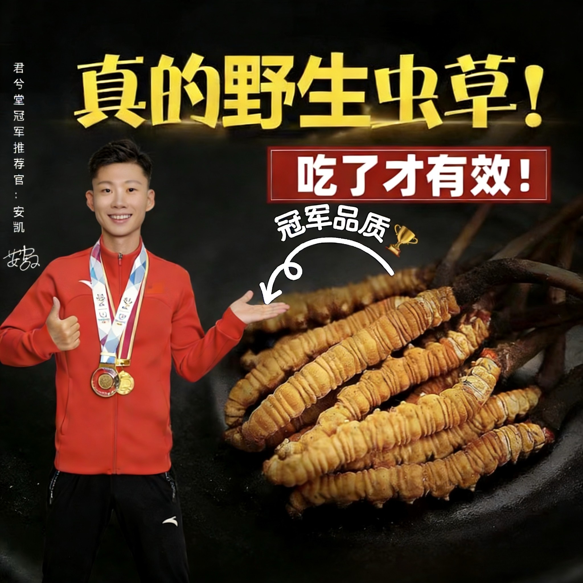 正品天然野生虫草产地阿坝甘孜州高海拔非那曲青海冬虫夏草批发