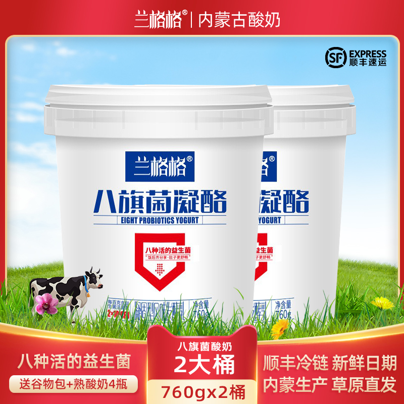 兰格格八旗菌凝酪酸奶活的益生菌凝固760gx2大桶送谷物包酸牛奶