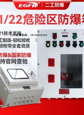 IIIC粉尘防爆箱面粉水泥厂粉尘防爆项目改造配电箱接线箱ExtdA21