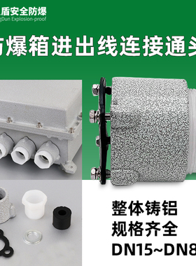 防爆接线箱进出线缆引入口孔通头4分DN15压紧密封格兰接头6分DN20