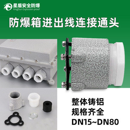 防爆接线箱进出线缆引入口孔通头4分DN15压紧密封格兰接头6分DN20