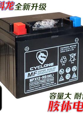 宗申赛科龙原厂蓄电池RX1S RG3 RT3 RA401 RE560 RC250胶体干电瓶