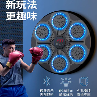 德国智能电子沙袋拳击玩具