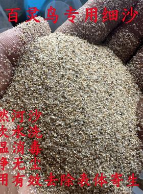 天然河沙百灵鸟云燕云雀雨燕鸟沙浴细面沙子鹌鹑鸟沙盘鸟专用沙土