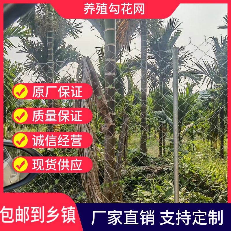 镀锌菱形铁丝网勾花围栏网养殖狗牛羊猪护栏养鸡S护栏网户外钢丝