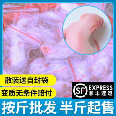 速发冷冻乳鼠幼鼠小一斤装崽白鼠大白鼠红皮粉皮白宠爬霜饲料喂蛇