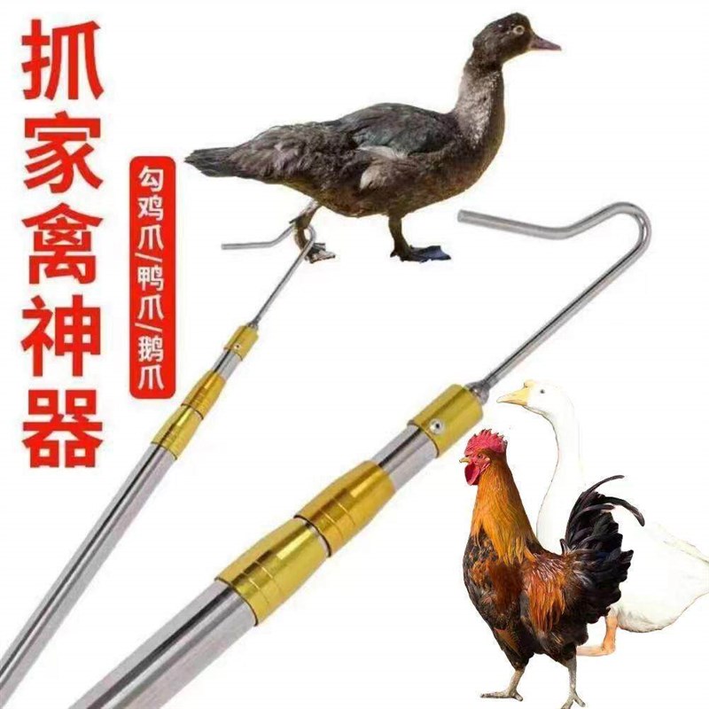 速发野外抓鸡神器逮鸡钩子捉鸡工具养殖场捕鸡鸭鹅脚套捉鸡钩户外