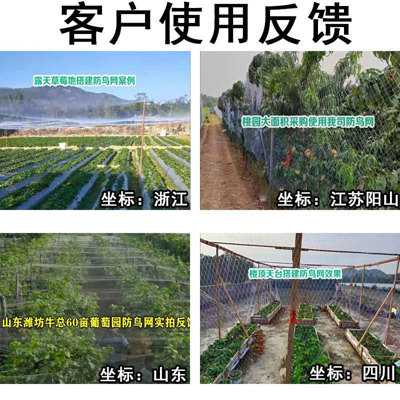 速发果树防鸟网果园小孔用网葡萄蓝莓杨梅树防护网尼龙防鸟鸽子麻