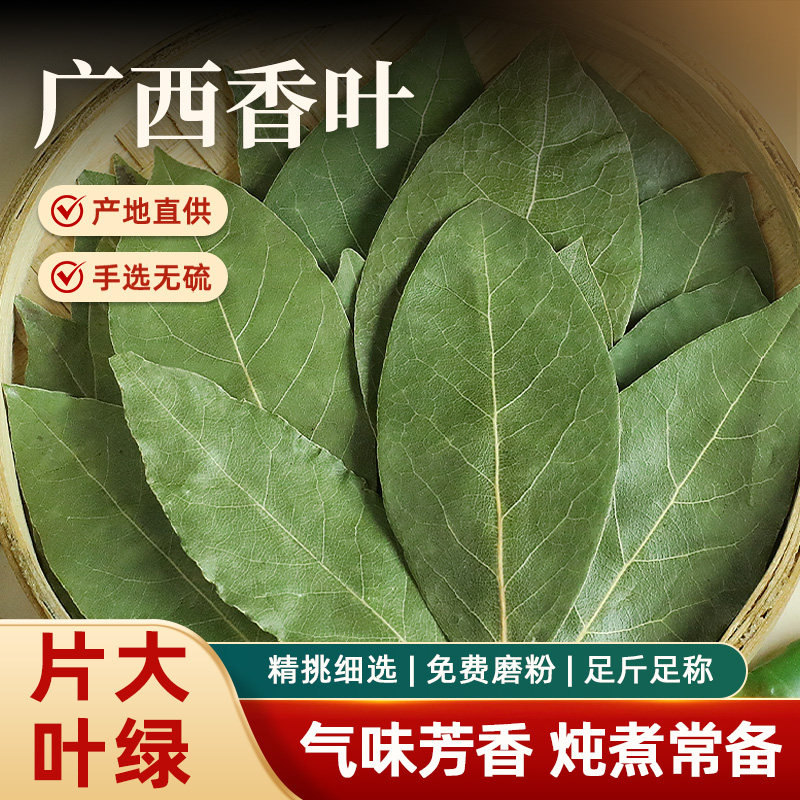 广西香叶干货片大叶绿产地直供手选无硫炖煮常备香辛料散装调味料