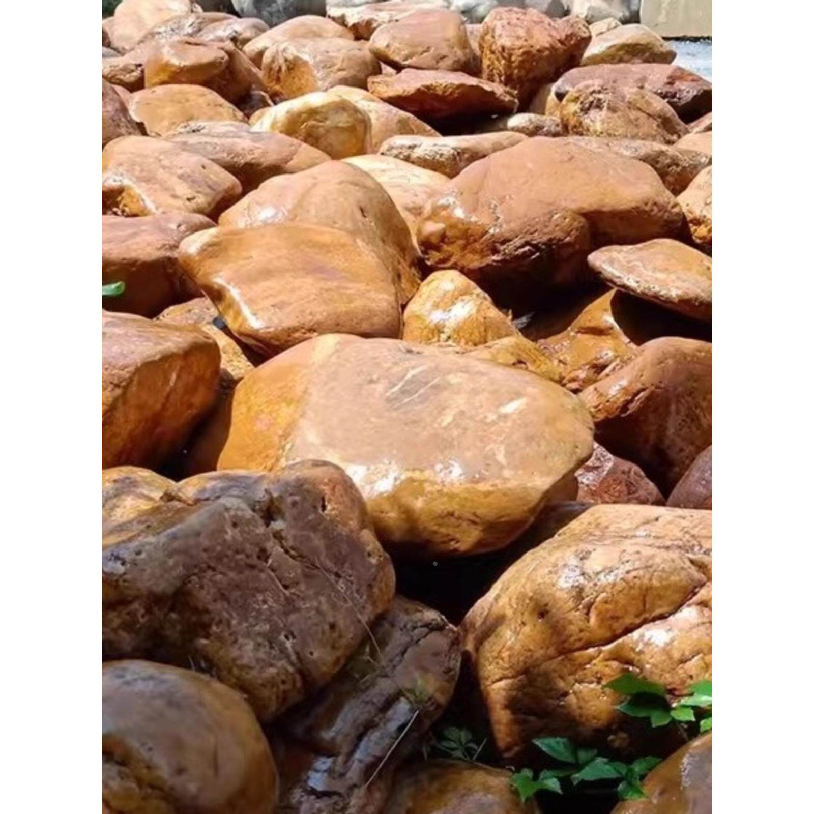广西草坪点缀石花园围边石黄蜡石原石置景石园林景观石鱼池造景石