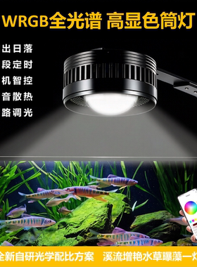 全光谱鱼缸灯WRGB原生溪流水草植物补光爆藻灯手机APP水族增艳灯