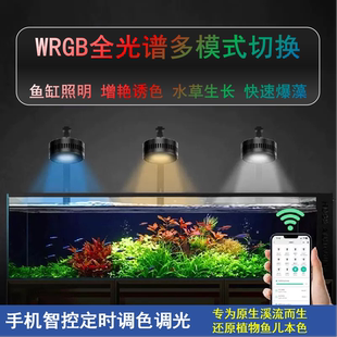 鱼缸灯全光谱原生溪流水草爆藻手机定时调色筒灯珊瑚灯WRGB增艳灯