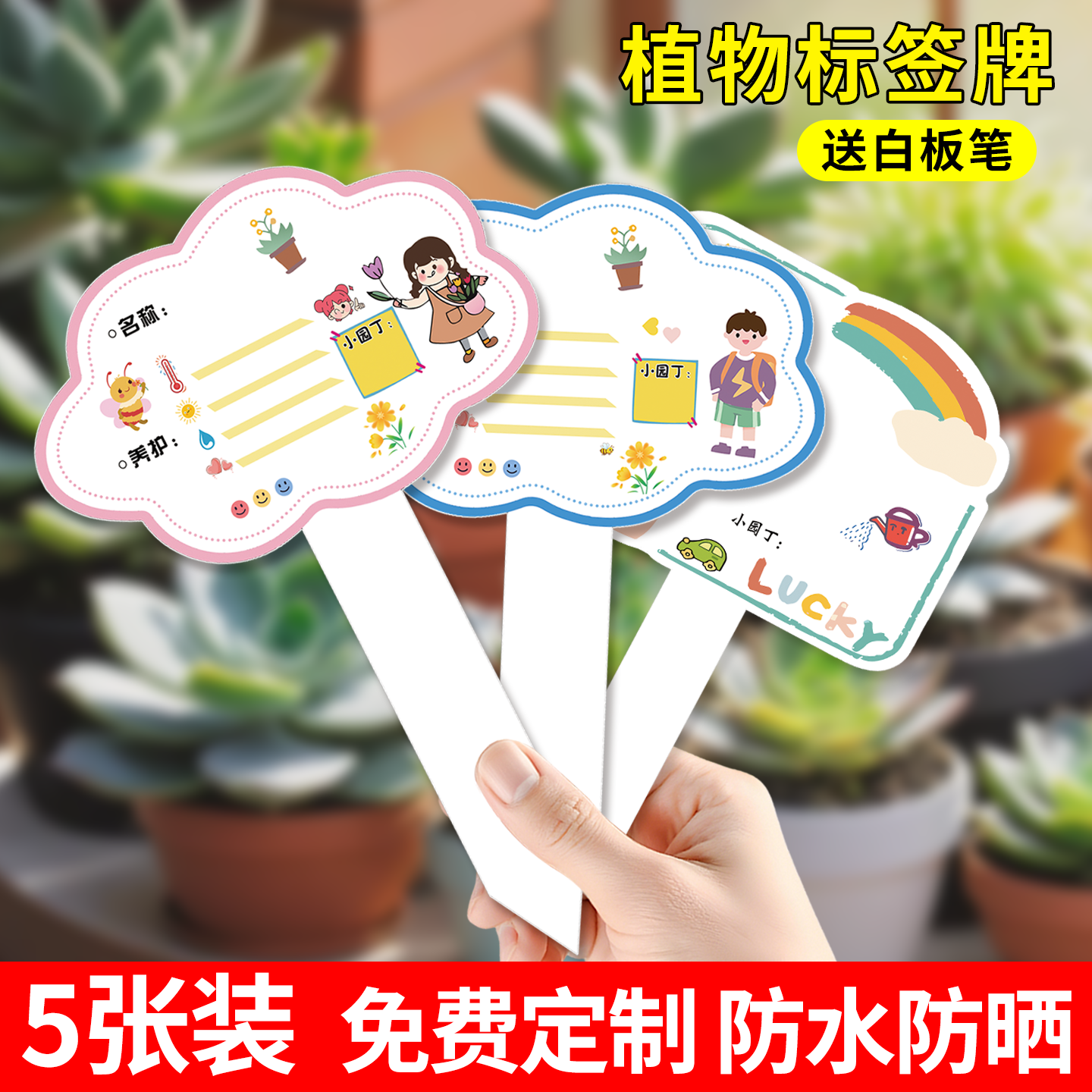 植物标签插牌幼儿园绿植养护卡片