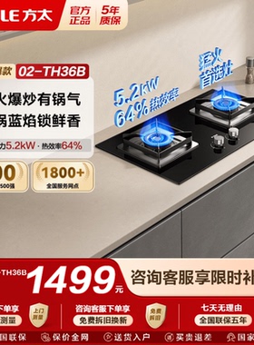 【新品】方太02-TH36B燃气灶猛火煤气灶天然气灶嵌入式灶台双灶