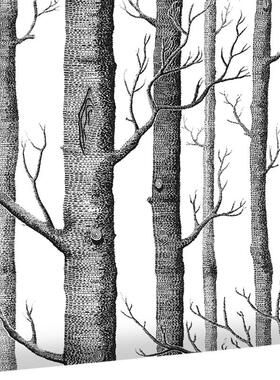 简约3wallpaper白桦树墙纸黑白树林仿无纺布木纹电视85326电墙壁D