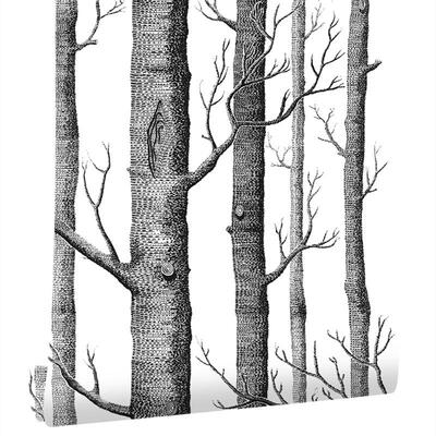 简约3wallpaper白桦树墙纸黑白树林仿无纺布木纹电视85326电墙壁D