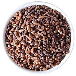 新米东北黑小麦粒带皮全麦胚芽米五谷杂粮面粉挂面面条瓶罐装原料