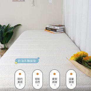 厂促新款 通用窗台 日式 奶油风泰迪绒飘窗垫家用防水防猫抓加厚四季