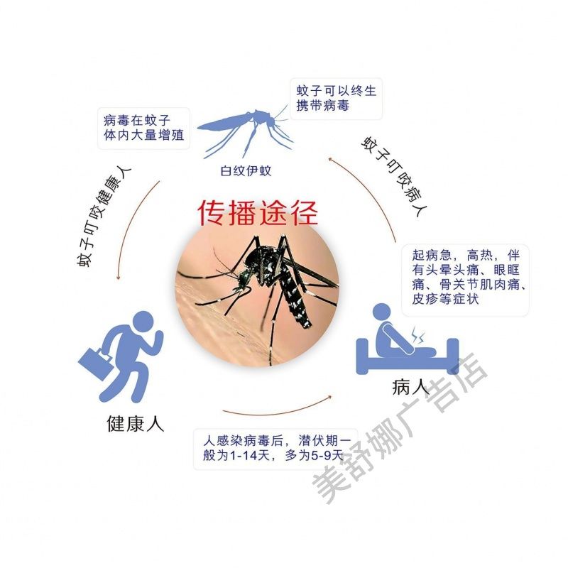 预防伊蚊传播引起的登革热健康教育宣传栏墙贴纸挂图海报印制kt板
