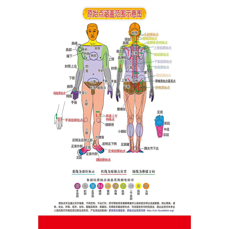 原始点海报定制印刷中医保健养生理疗宣传海报画原始点贴纸