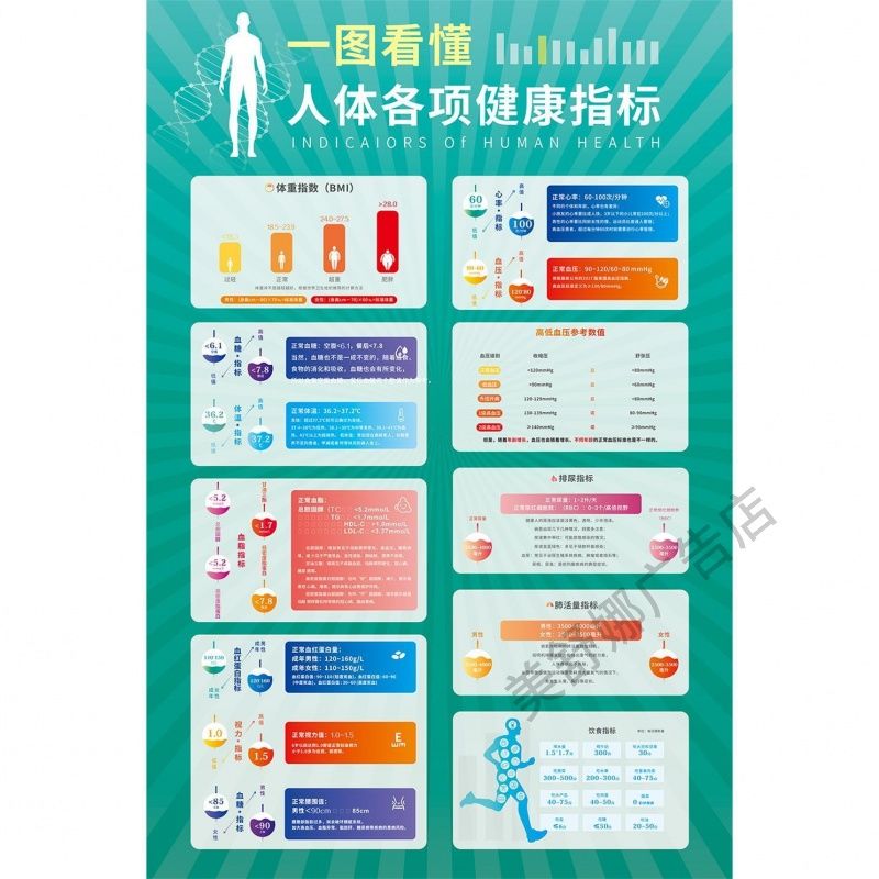 常见食物成分表蛋白质钾钙磷含量表人体各项健康健身指标表墙贴画