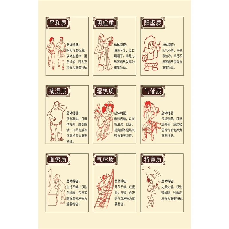 中医体质辨识及调养方法海报展板中医九种体质中医九种体质辦识中