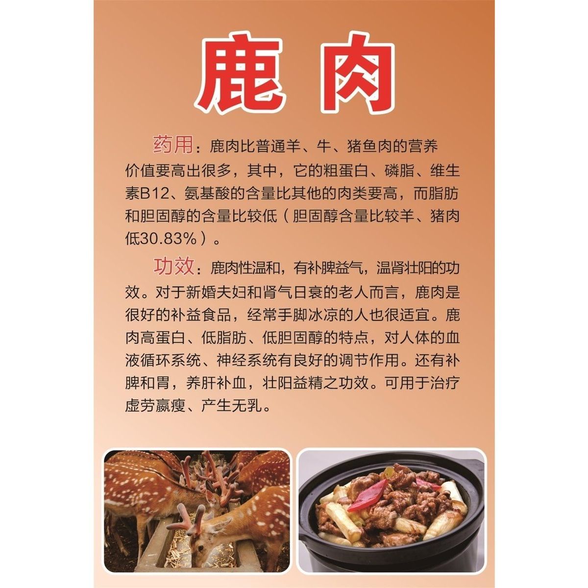 鹿肉海报展板鹿鞭补肾自家纯正梅花鹿产品鹿肉丸子汤墙贴墙纸
