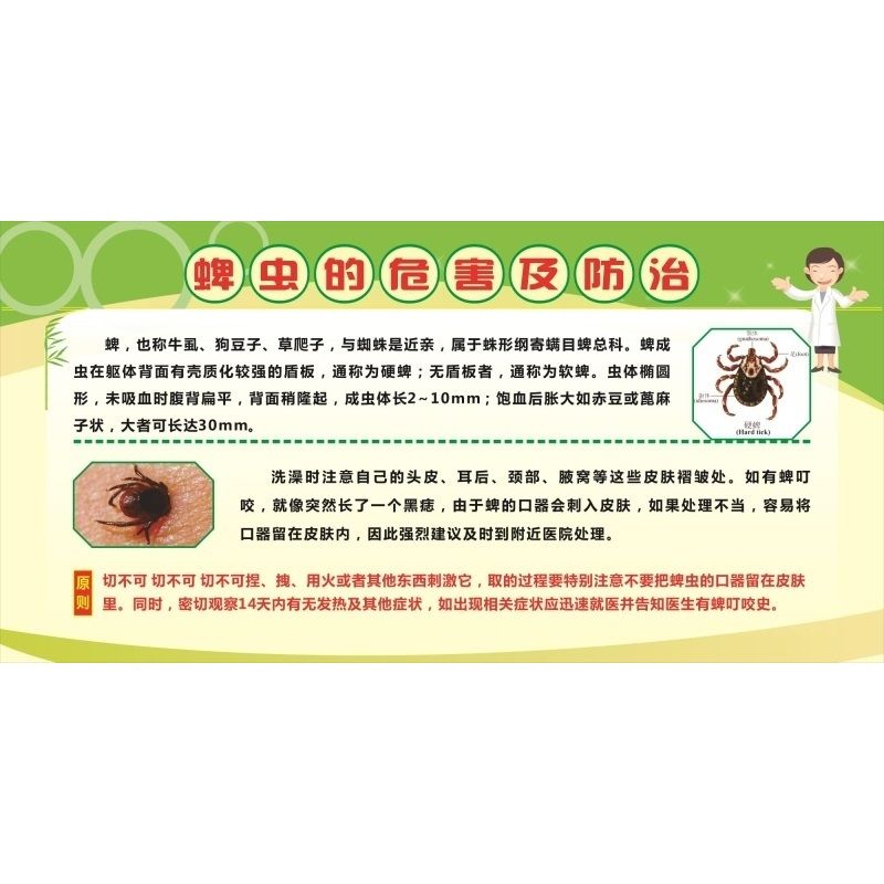 如何预防蜱虫们咬后如何正确处理海报展板蜱虫的危害及防治墙贴如