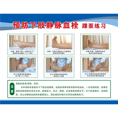 深静脉血栓健康宣教宣传栏上墙贴纸挂图写真喷绘海报印制