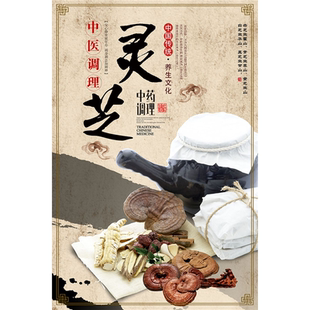 灵芝养生海报展板中国传统养生文化养生之道灵芝的成分墙贴纸灵芝