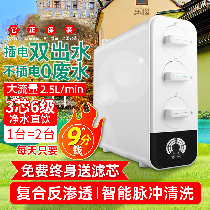 2024新d款净水器双出水RO反渗透家用直饮机厨房自来水不插电0废水