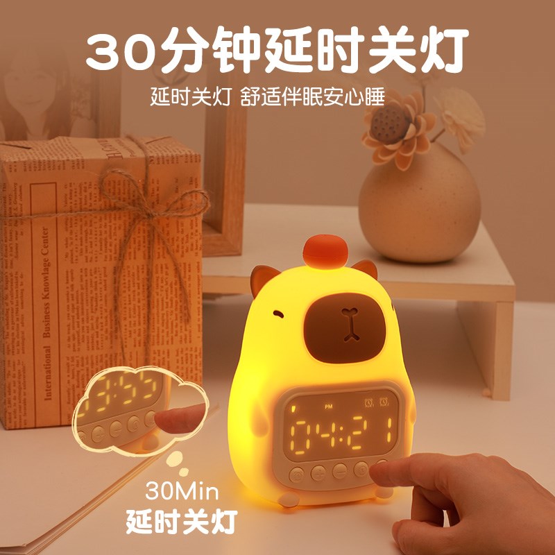 生日礼物女生送闺蜜女孩s子实用男生女朋友男友桌面卡皮巴拉小夜