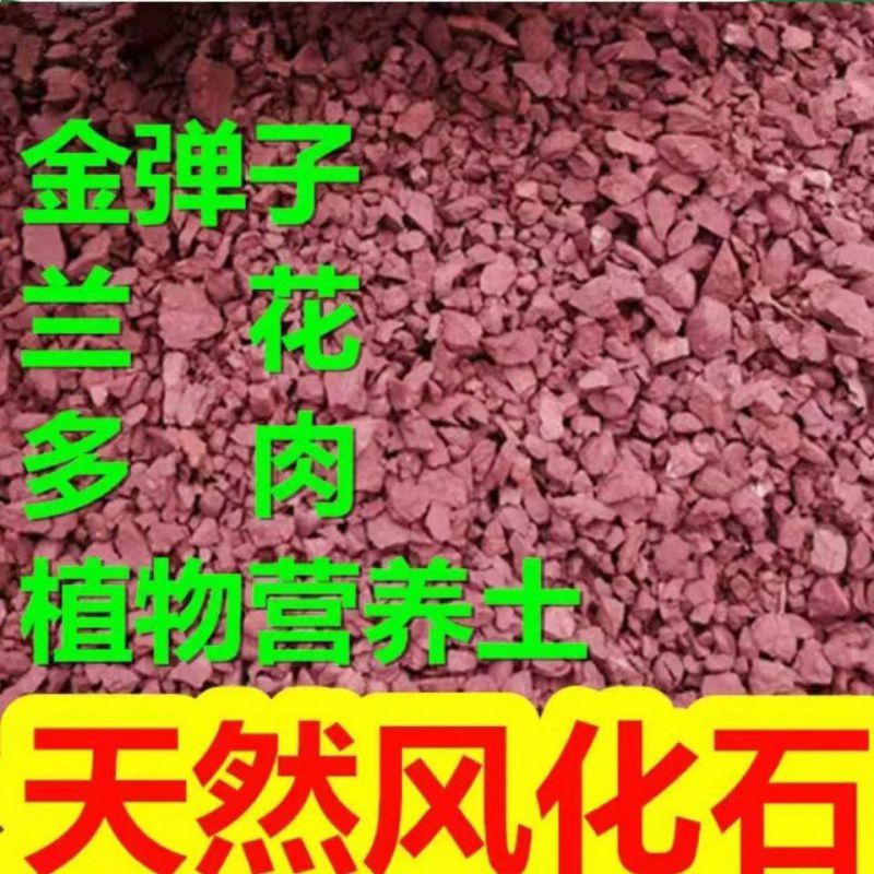天然风化土弹子兰花多肉生根红土颗粒专用土铺面石盆景专用