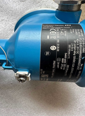 【顺庆】E+H音叉物位计 Liquiphant,FTL51B-1LV【议价】