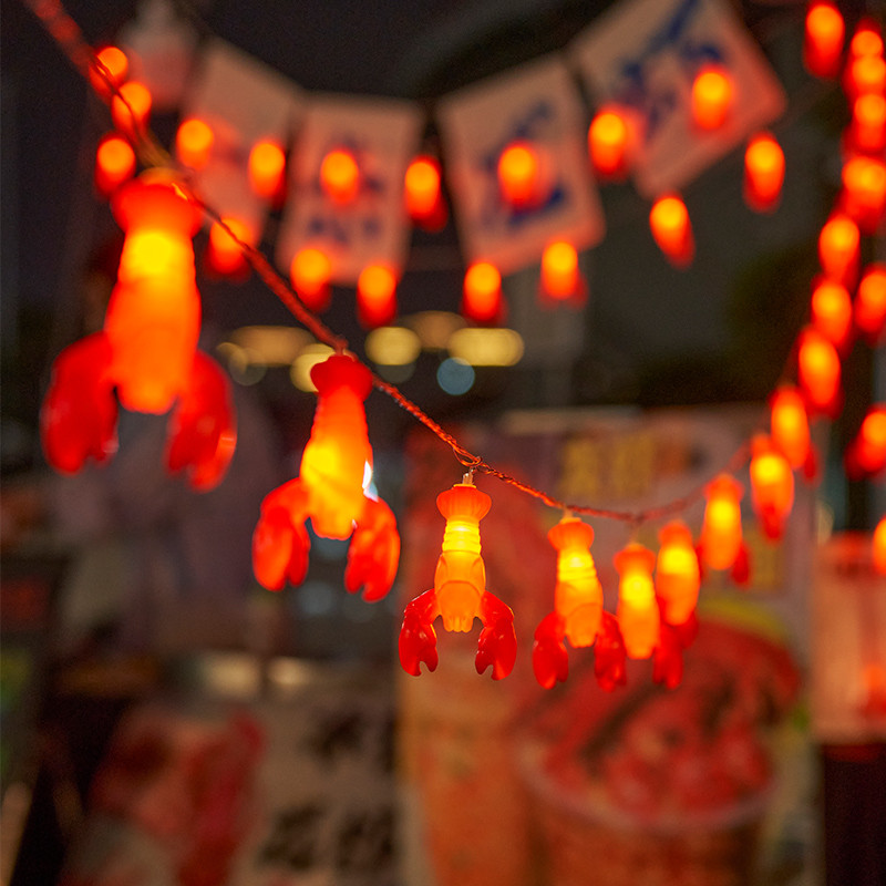 夜市摆摊小彩灯氛围灯龙虾灯地摊电瓶USB后备箱装饰灯生日露营灯