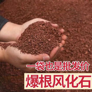 风化石头颗粒风化土特价金弹子专用土红土酸性兰花营养大袋铺面石