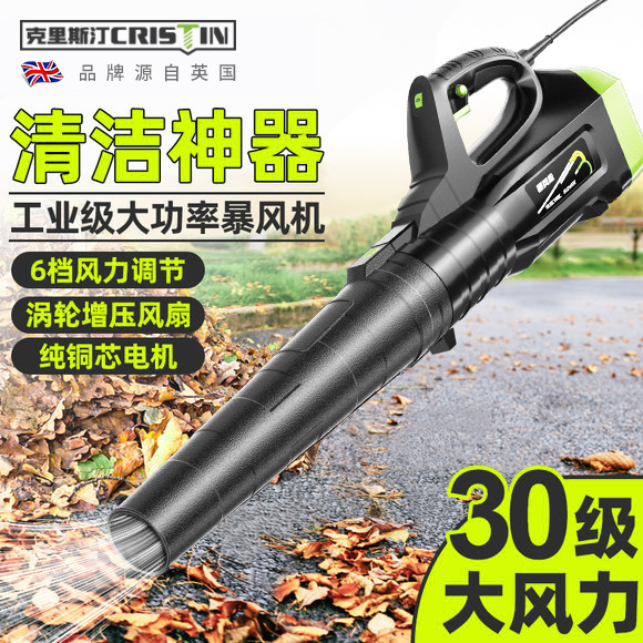 鼓风机220v强力吹灰机锂电吹风机大功率工业用吹雪机暴风枪吹灰尘