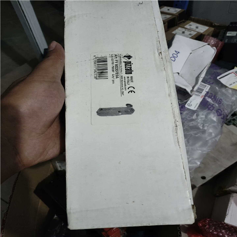 议~皮扎特pizzato功能安全门锁FY 60DD7E0A带