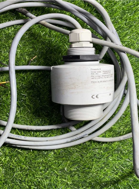 Enderess+Hauser FDU90-RG1AA 议价议价