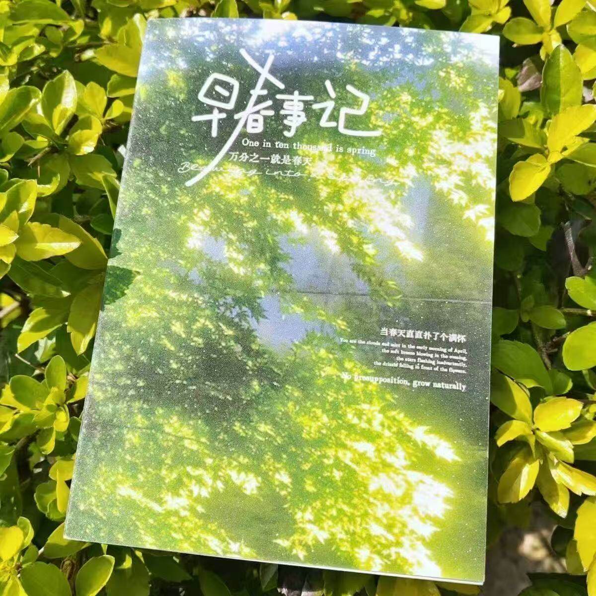 夏日树叶绿色早春事记贴纸书切膜贴纸书学生小众diy装饰素材ins风