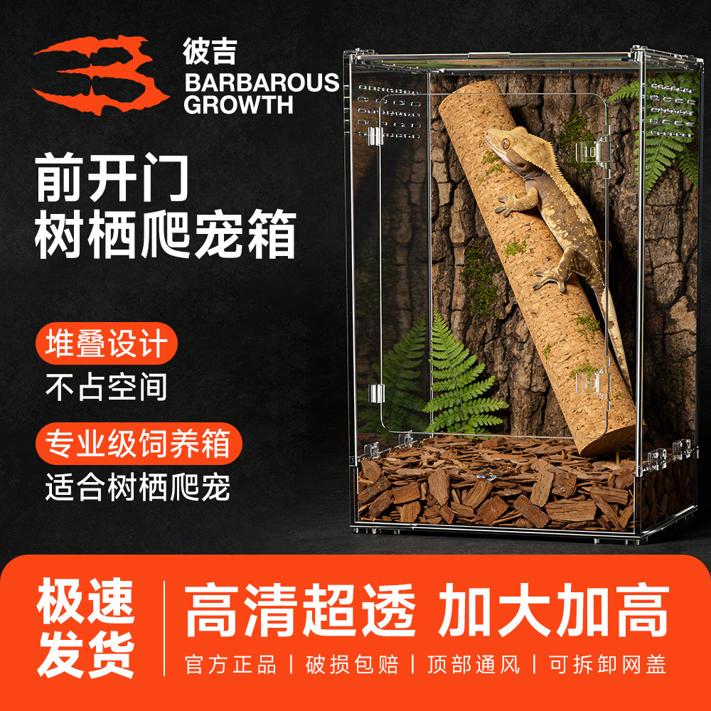 爬宠饲养箱睫角守宫老爷树蛙塑料缸蜘蛛甲虫蜥蜴寄居蟹树栖爬虫盒
