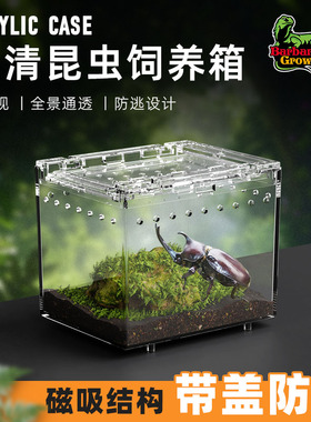 BG透明亚克力爬虫饲养箱小型人渣盒昆虫蜘蛛独角仙螳螂甲虫造景缸